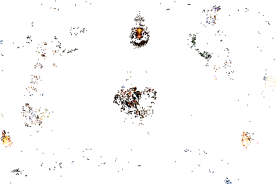 克格莫实战效果动图