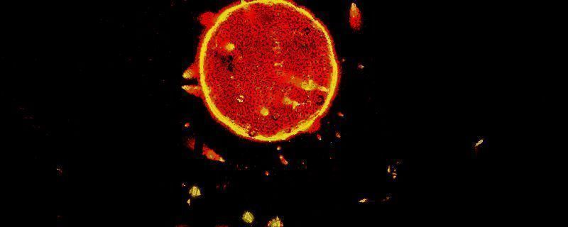 《Star Crafter》相关图片1