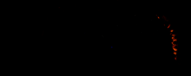 《怪物猎人：荒野》游戏画面相关图片