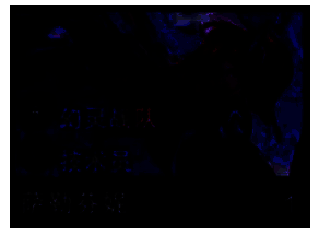 萨勒芬妮弈子形象