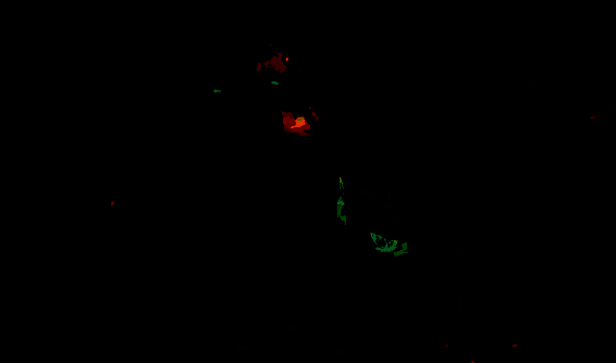 潮汐守望者塔露拉相关图片7