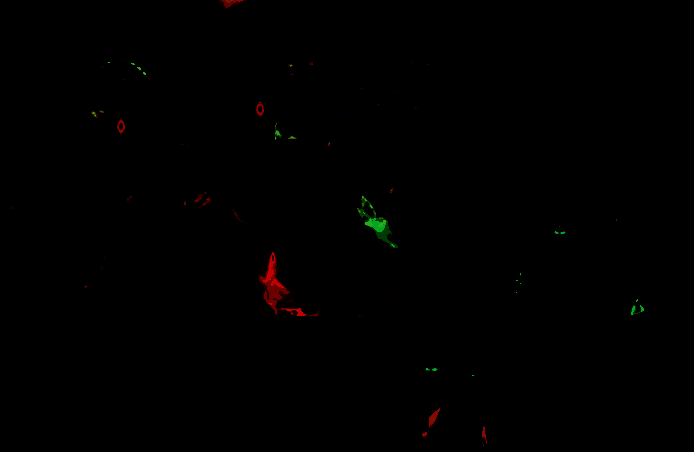潮汐守望者塔露拉相关图片8
