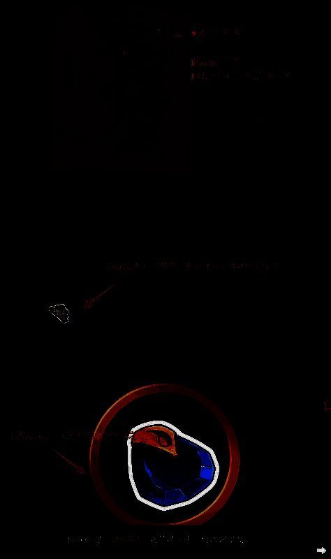 日门第六层蓝水晶互动获取水之护符图