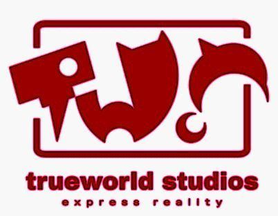 TrueWorld Studios团队介绍图