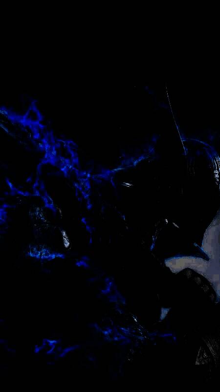 《艾尔登法环：黑夜君临》特色场景壁纸