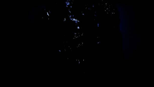 《怪物猎人：荒野》相关图片3