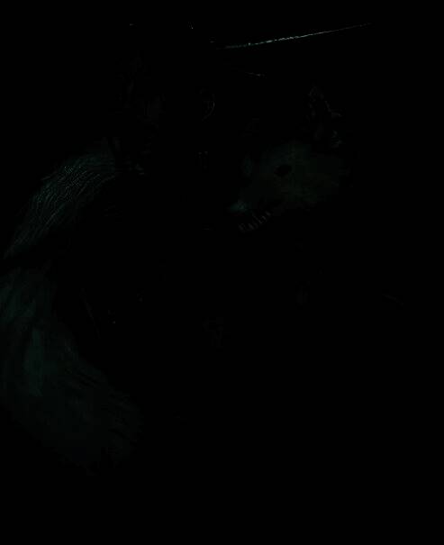 《明末：渊虚之羽》之前截图4