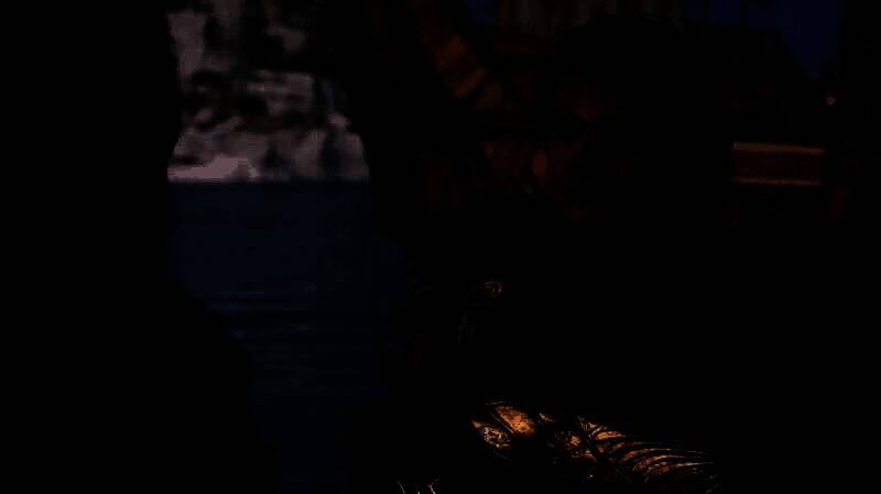 《刺客信条：影》相关图片2