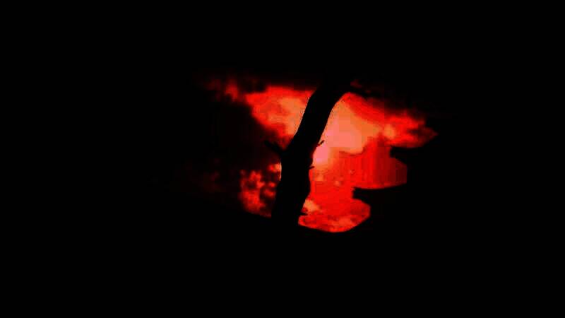 《刺客信条：影》视频截图6