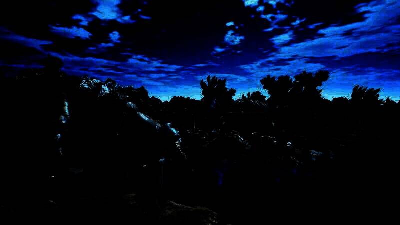 《奇异贤伴：爱达之歌》相关图片