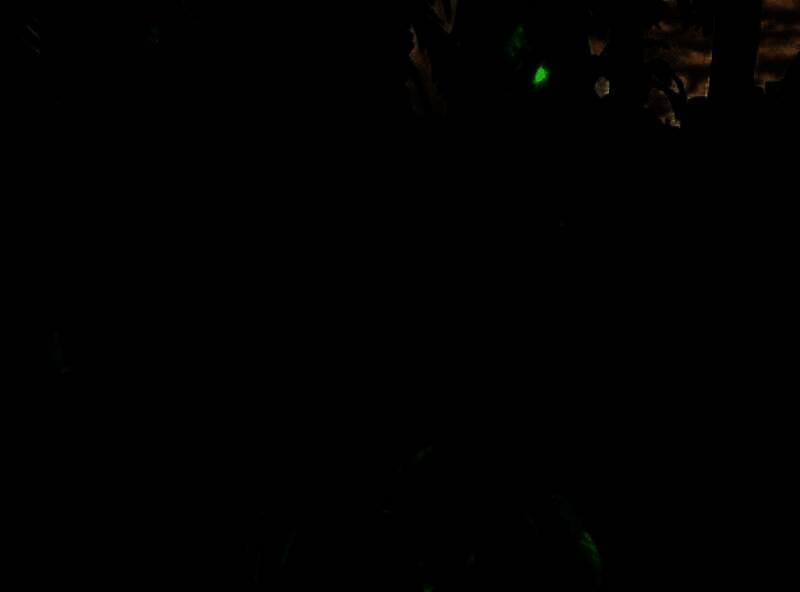 《恐龙危机1&2》相关宣传图6