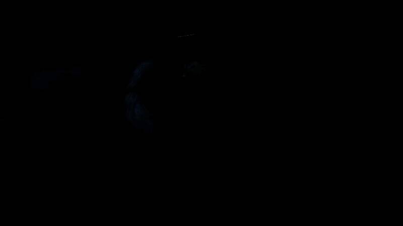 《明末：渊虚之羽》相关画面2