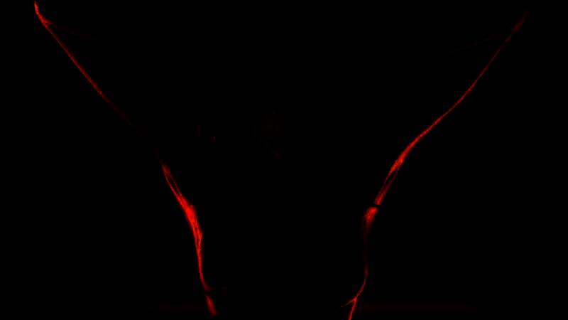 《忍者龙剑传2》复刻版自我和谐画面2