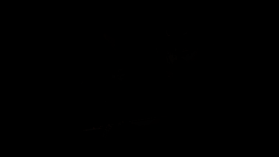 《哀鸿：城破十日记》相关图片3