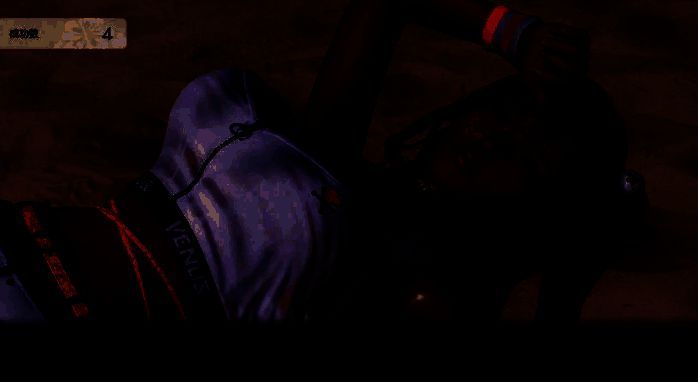 《维纳斯璀璨假期：死或生Xtreme》游戏画面图3