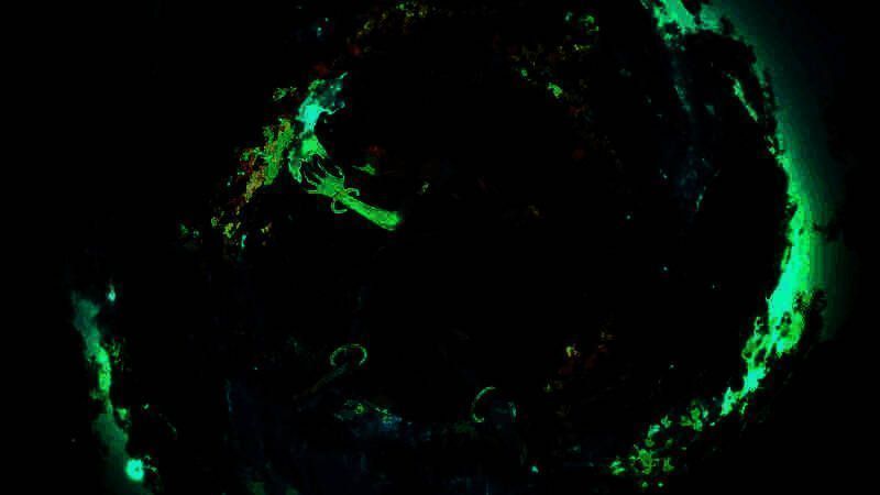 开发团队相关图片