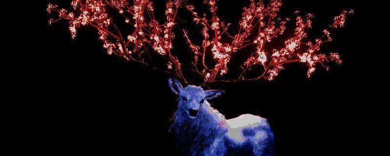 《刺客信条：影》相关画面