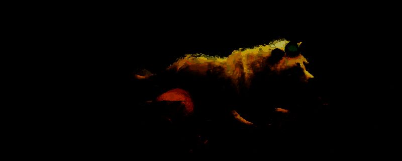 《刺客信条：影》传奇白狸墨绘相关画面