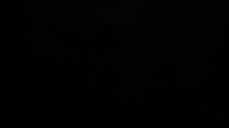 《光与影：33号远征队》视频截图2