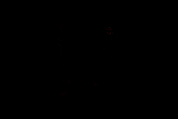 《动物井》领奖现场图