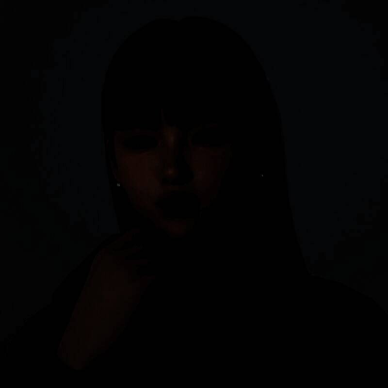 inZOI捏脸使用教程图5