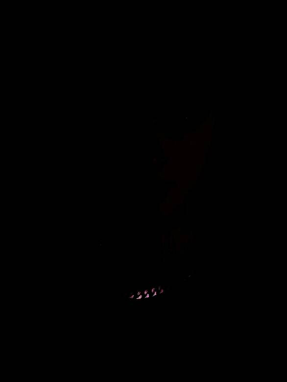 《inZOI》捏脸使用教程图2