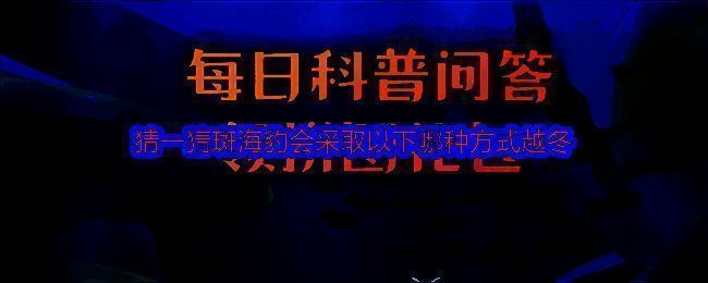 斑海豹相关图片1