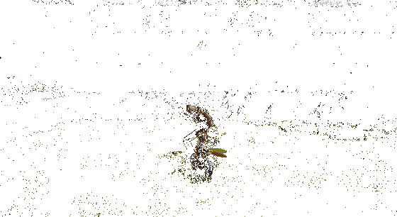 《剑灵2》巨斧职业冲突技能动态图