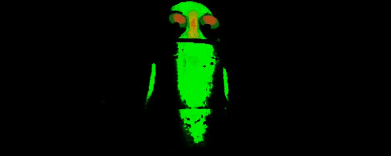 《R.E.P.O.》游戏道具相关图片