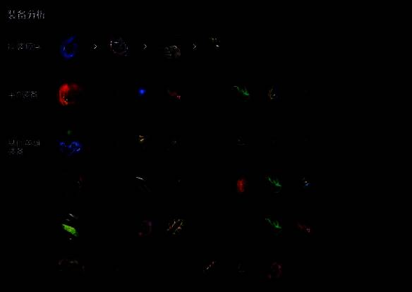 英雄装备展示图