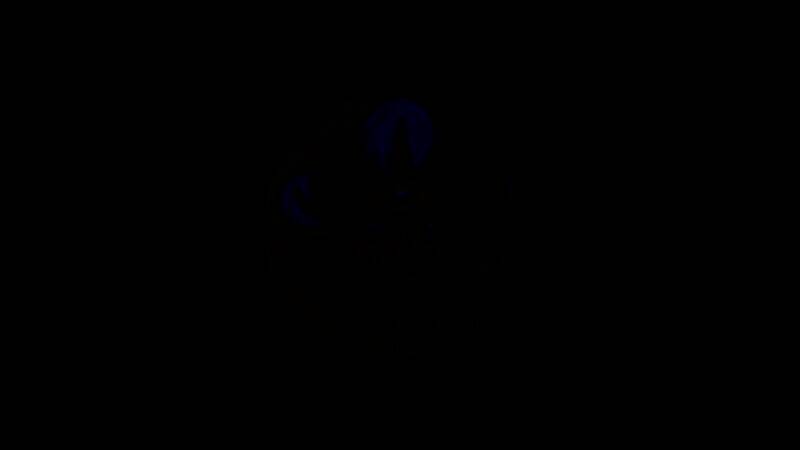 《Wonderland》游戏特色图片5