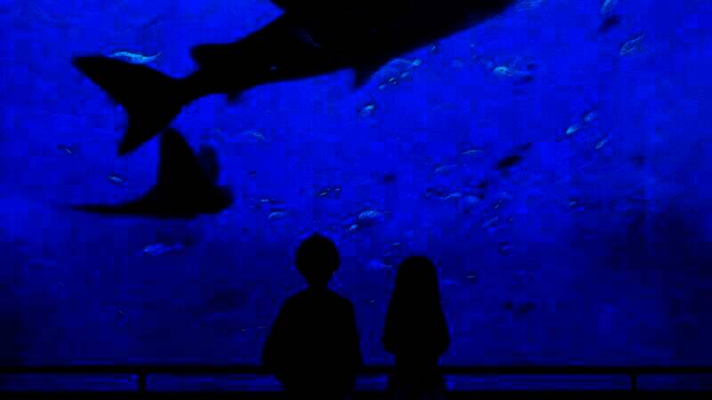 《琥珀末日》游戏截图6