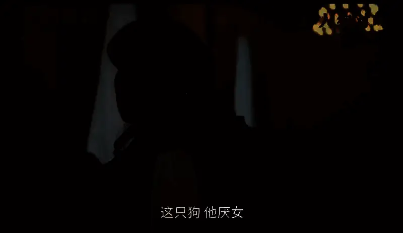 电影《狗的审判》视频截图1