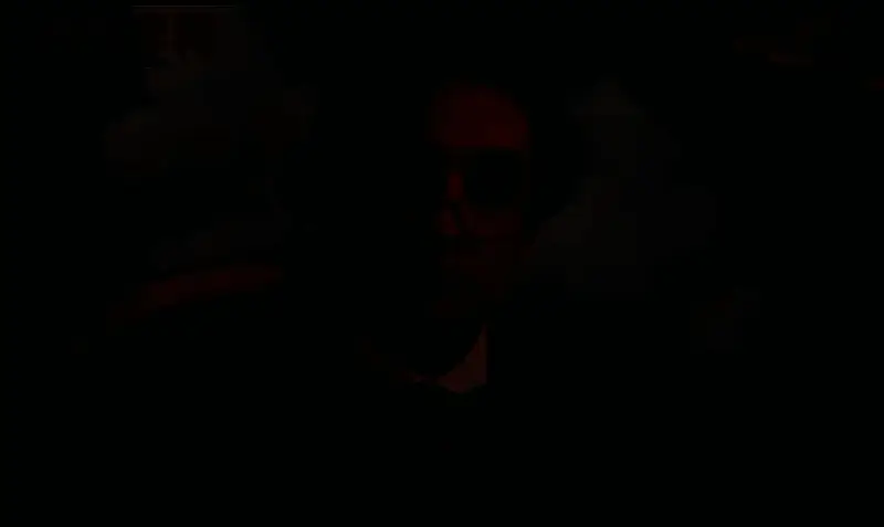 电影《狗的审判》视频截图8