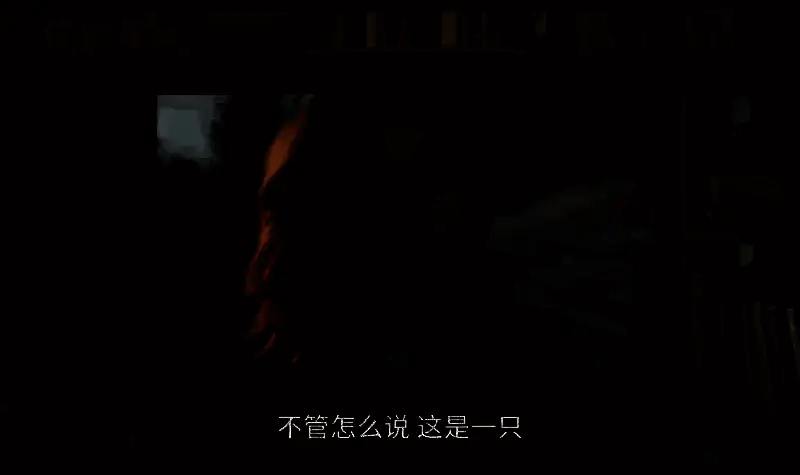 电影《狗的审判》视频截图11