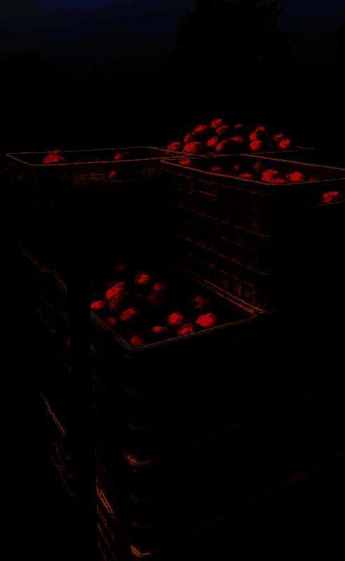 陈先生与橙子相关工作场景图