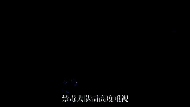 《晨昏线》视频截图5