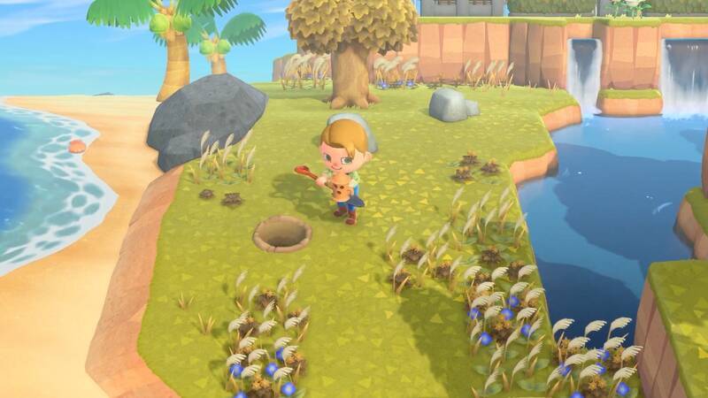 《集合啦！动物森友会》相关图片