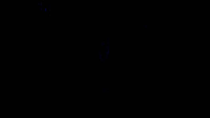 《星际：异端先知》相关图片1