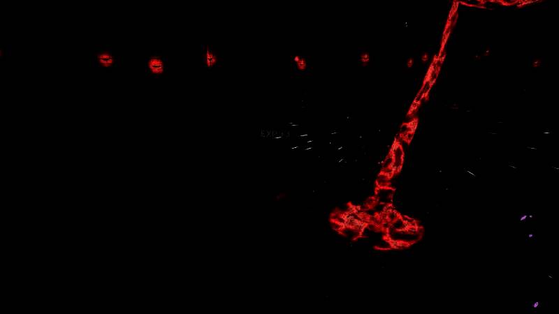 《死灵法师之剑：复活》视频截图5