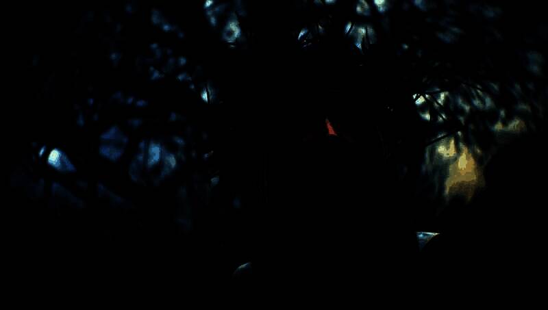 《巫师4》相关图片1