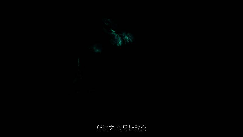 《怪物猎人》相关画面21