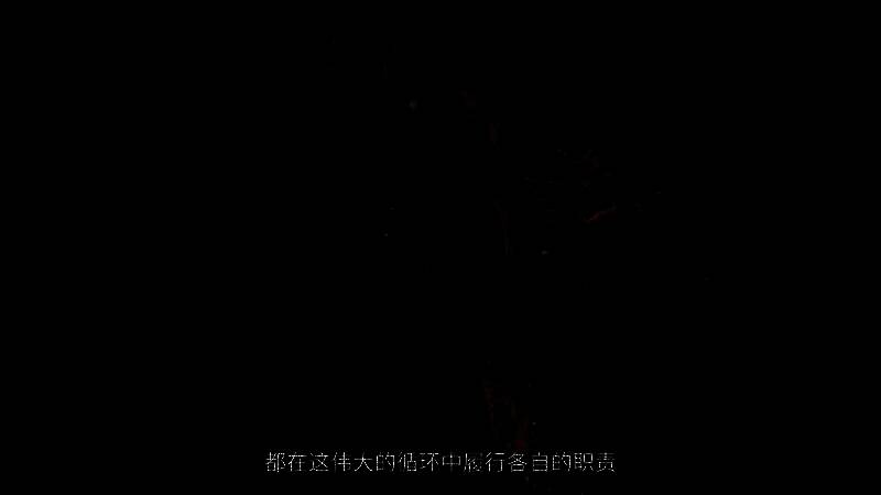 《怪物猎人：荒野》视频截图1