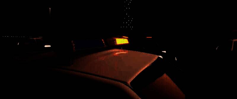 《索尼克大冒险2》重制试玩版视频截图2