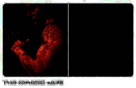 顽皮狗审美相关画面