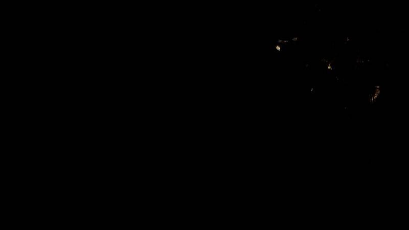 《哥特王朝：重制版》游戏画面截图6