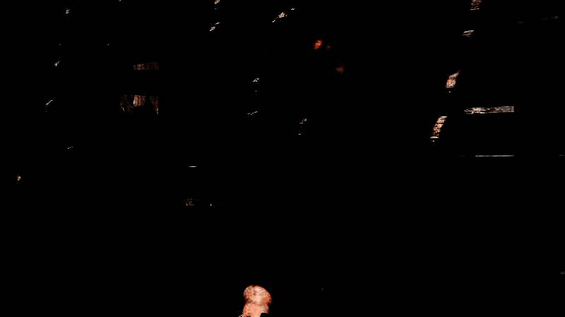 《哥特王朝：重制版》游戏画面截图7