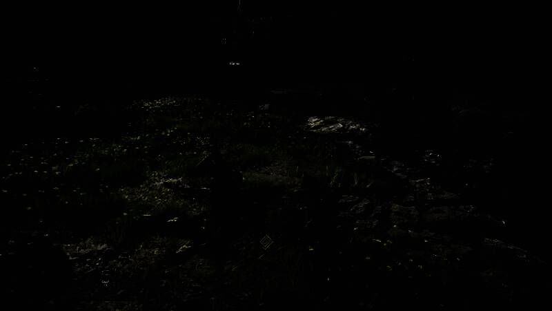 《红色沙漠》相关图片3