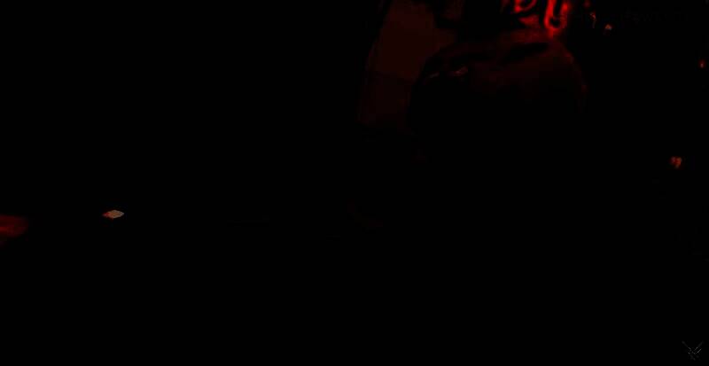 《堡垒之夜Ballistic》相关图片1