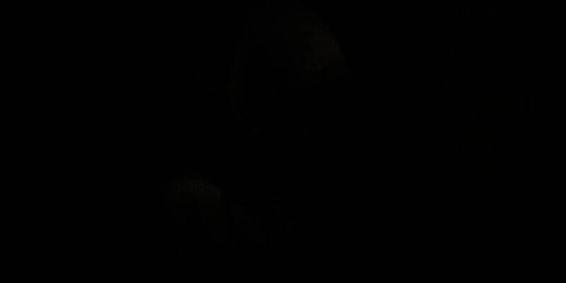 《艾尔登法环：黑夜君临》游戏画面9